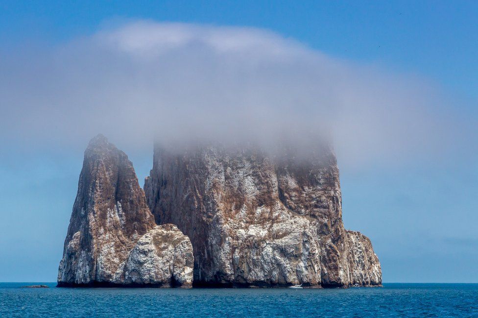 Победители фотоконкурса Galapagos Conservation Trust Photography Competition 2017