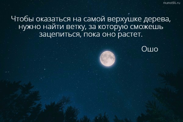 Чтобы оказаться на самой верхушке дерева, нужно найти ветку, за которую сможешь зацепиться, пока оно растет. Ошо