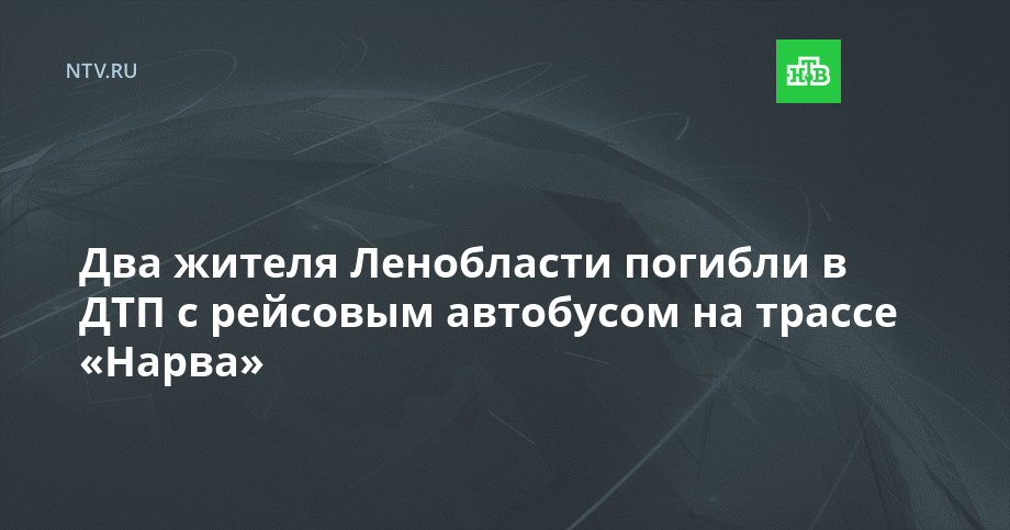 Два жителя Ленобласти погибли в ДТП с рейсовым автобусом на трассе «Нарва»