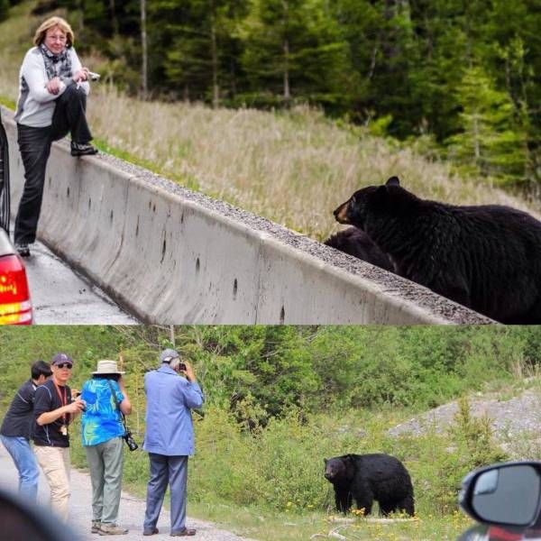 Красивые фото приколы из нашей жизни 