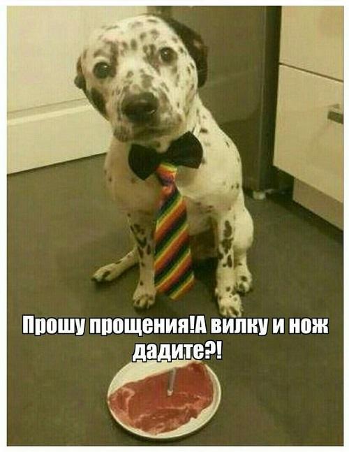 Супер забавные картинки Супер забавные картинки