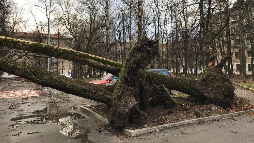 Агентство «Москва» 