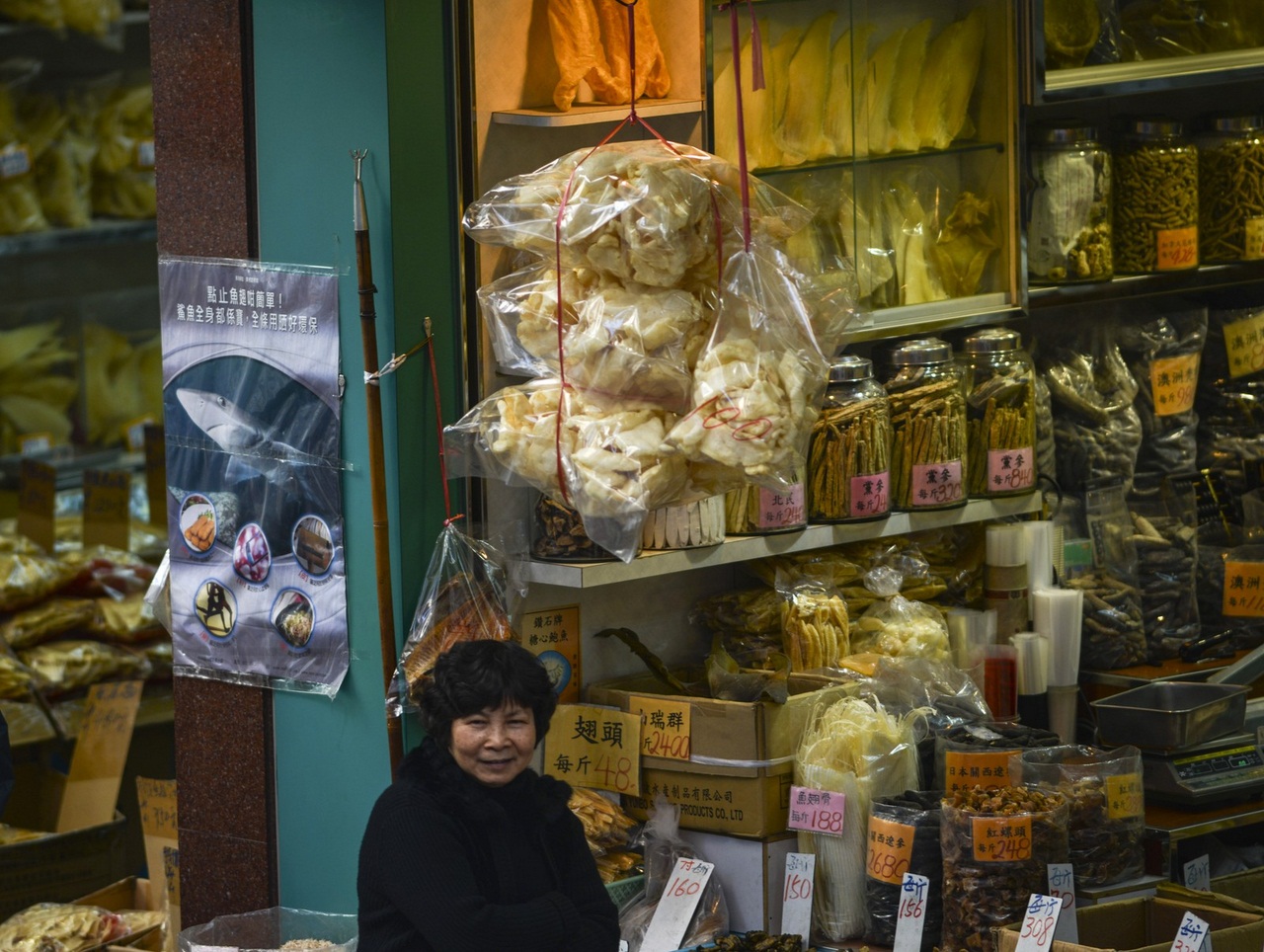 HONG KONG-CHINA-ENVIRONMENT-SPECIES-SHARK-FOOD