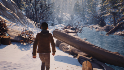 Life is Strange 2 — время вспять не отмотаешь. Рецензия action,adventures,life is strange 2,pc,ps,xbox,Игры,обзоры,Приключения