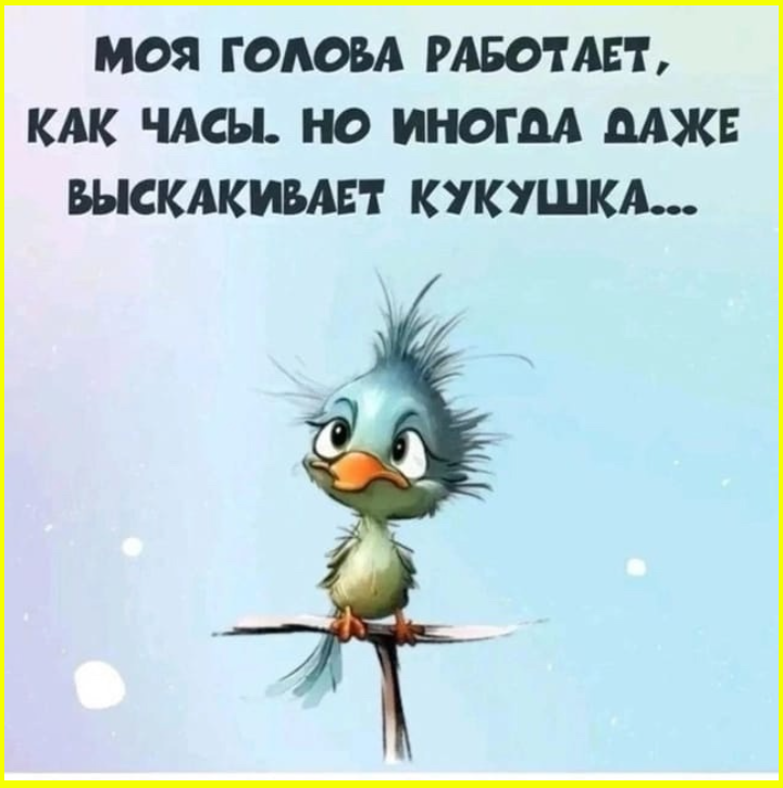 Я не умная, я опытная. Была бы умной — не была бы такой опытной 