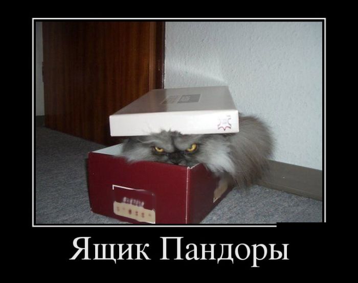 Демотиваторы на любой вкус и три выхода 