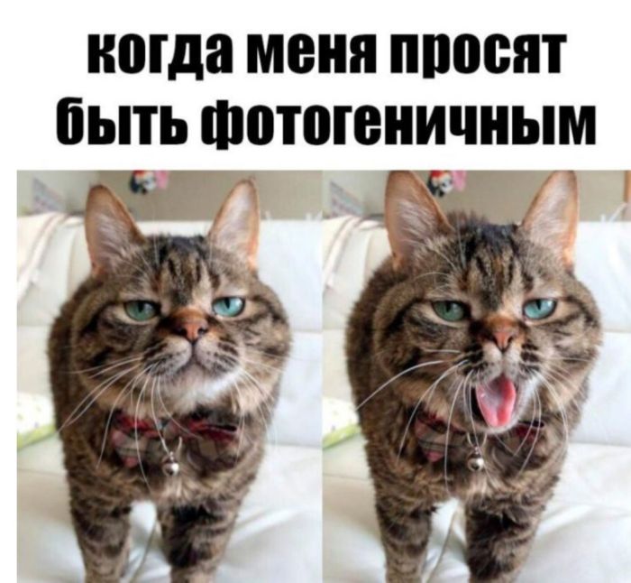 Интернет мемы в воскресение и парковка Интернет мемы в воскресение и парковка
