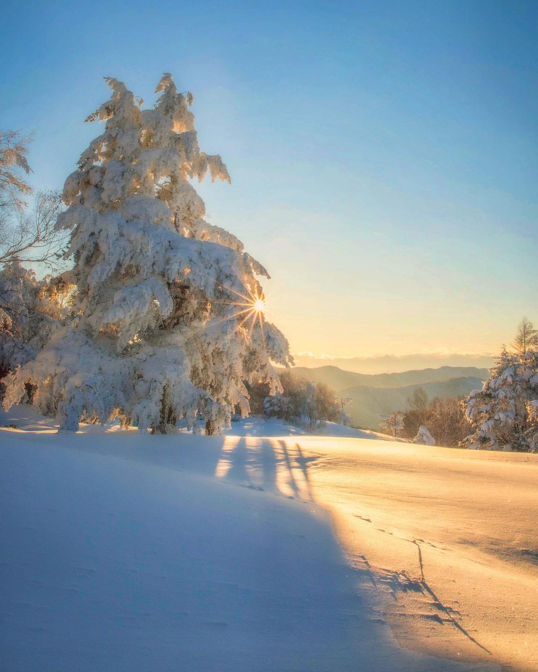 Волшебная японская природа на снимках Макико Самедзимы времена года,тревел-фото,Япония