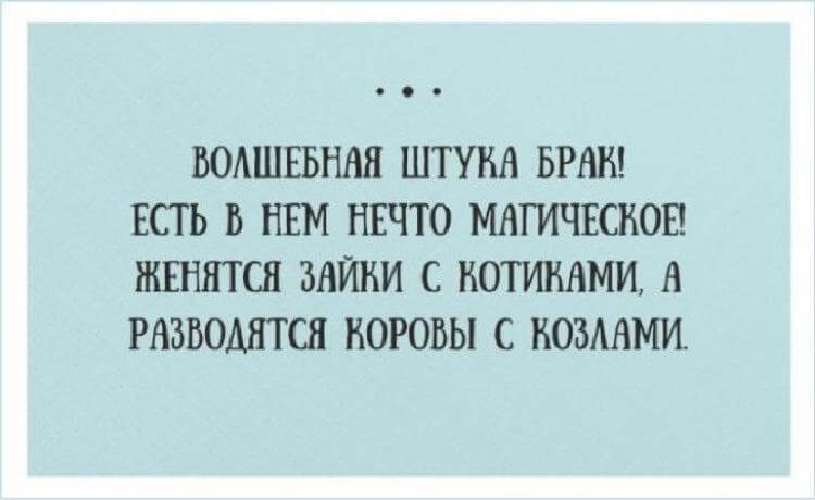 12 невероятно смешных открыток, тесно связанных с жизнью 12 невероятно смешных открыток, тесно связанных с жизнью