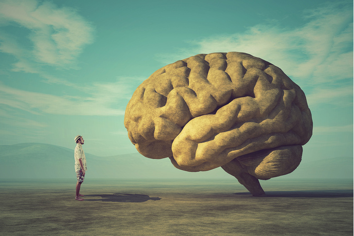 7 суперспособностей человеческого мозга, о которых ты не подозревал мозг,наука