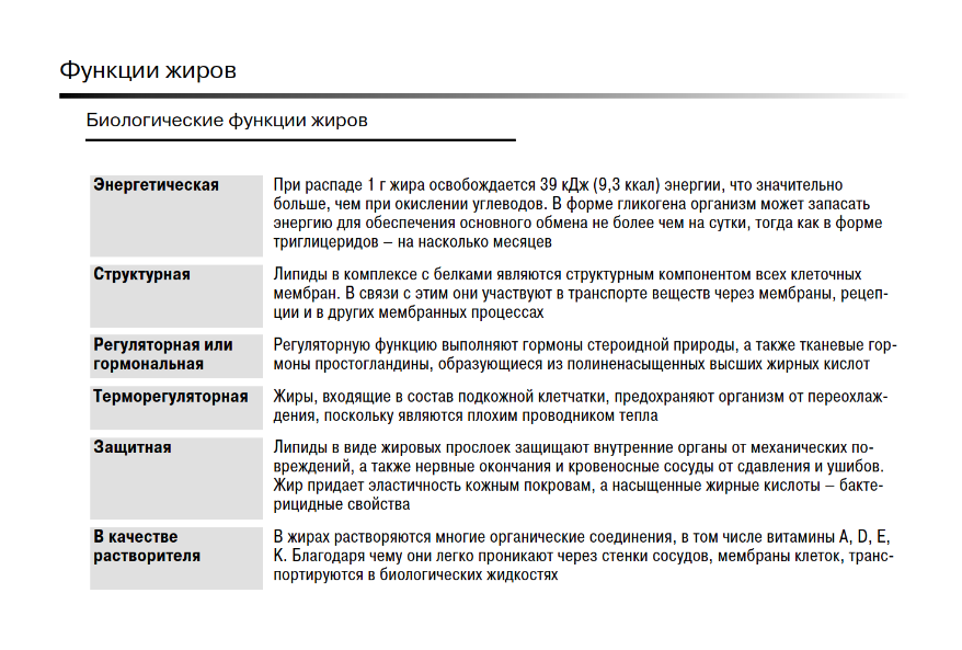 Для чего человеку нужны жировые прослойки жир