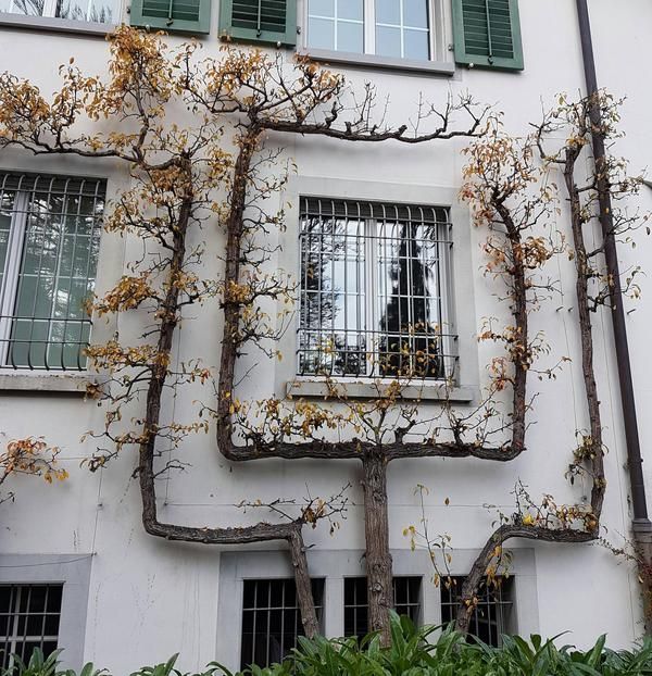 Позитивные картинки и милые фотографии для настроения Позитивные картинки и милые фотографии для настроения