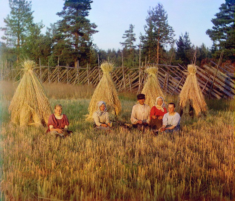 На жнитве