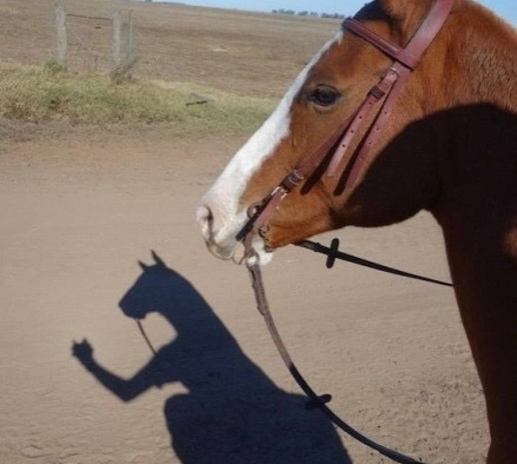 %image_alt%