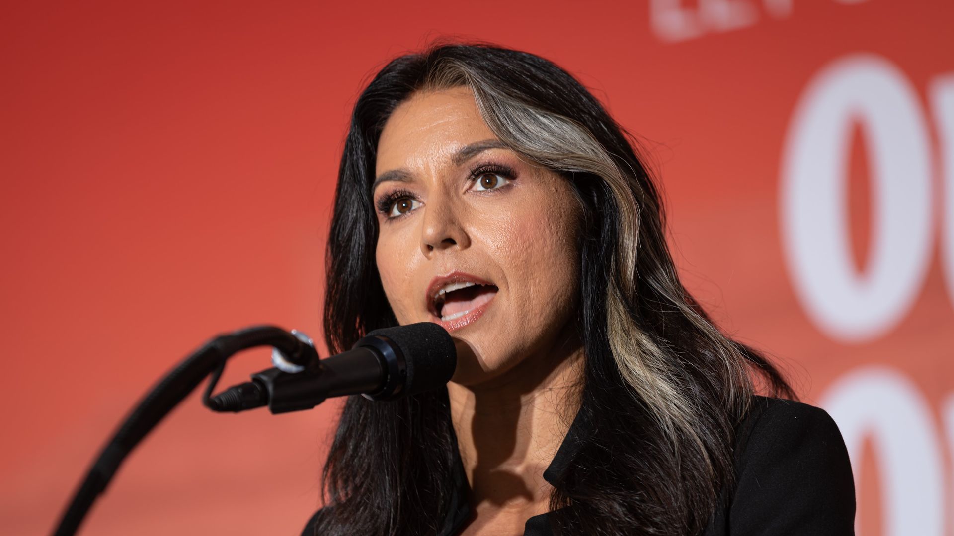 Бывшая конгрессвумен Тулси Габбард назвала демпартию США «элитарной кликой поджигателей войны»