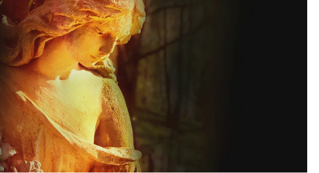 "Ангелы принимают образ животного". Что заставляет людей верить в чудо высшей заботы