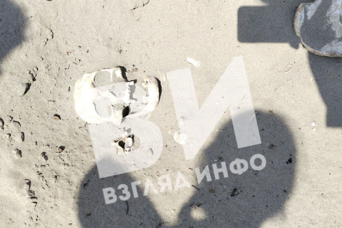 Юг картинки текст