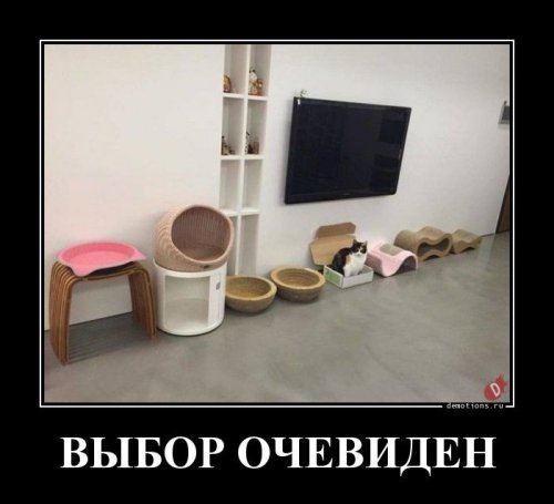 Демотиваторы-приколы для настроения Демотиваторы-приколы для настроения приколы