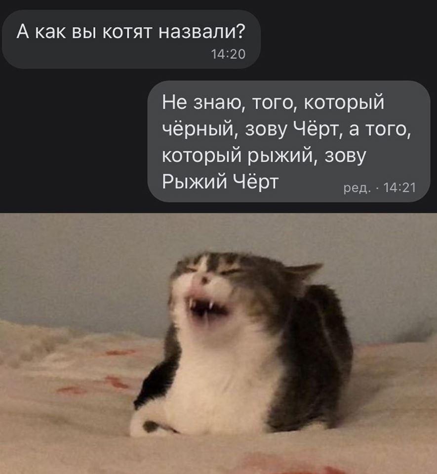 Лучшие приколы дня, картинки с надписями, смех до слез Лучшие приколы дня, картинки с надписями, смех до слез