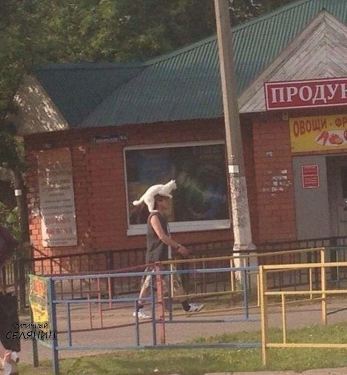 20 приколов из типичного заМКАДья 20 приколов из типичного заМКАДья