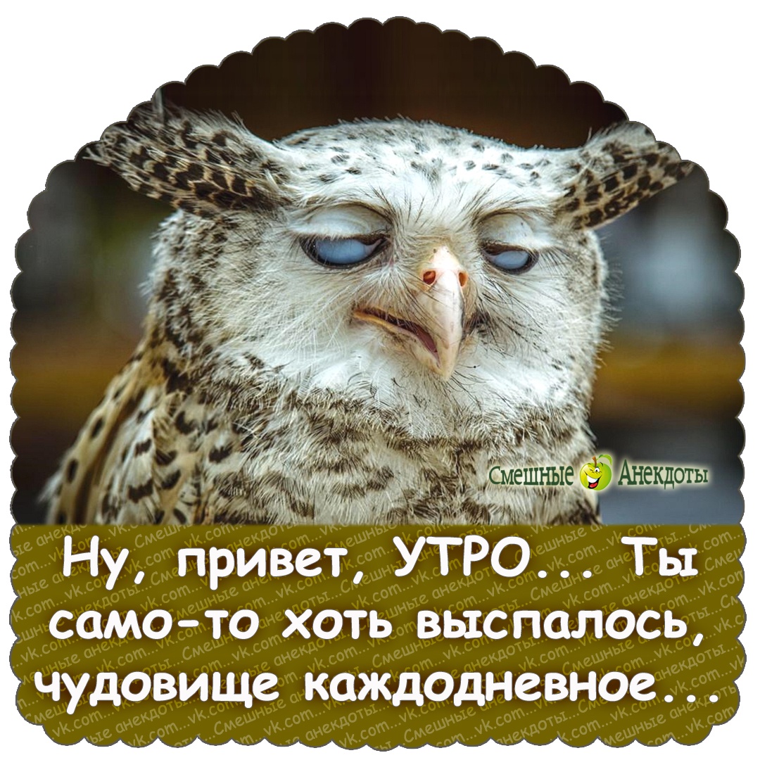 Выспались доброе утро
