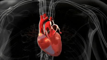 20 фактов о времени, которые мало кто знает гипотезы,наука,факты