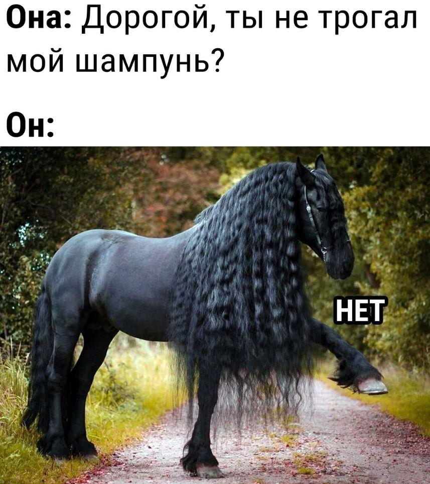 Лучшие приколы дня, картинки с надписями, смех до слез Лучшие приколы дня, картинки с надписями, смех до слез