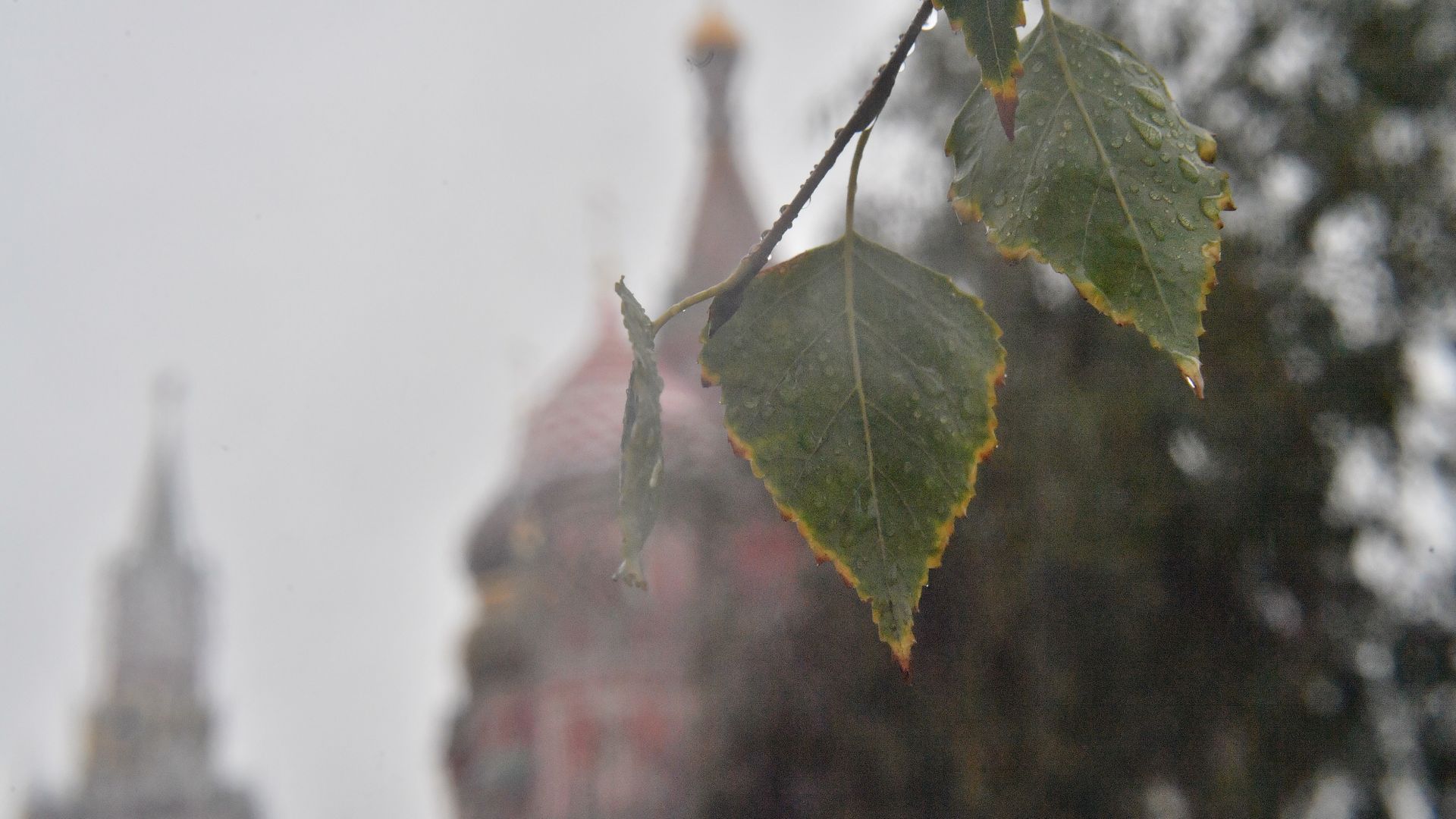 Переменная облачность ожидается в Москве во вторник