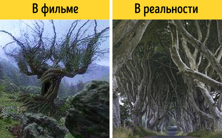 16 магических мест планеты, которые стали источником вдохновения для авторов фильмов о Гарри Поттере 16 магических мест планеты, которые стали источником вдохновения для авторов фильмов о Гарри Поттере достопримечательности,интересное,кино