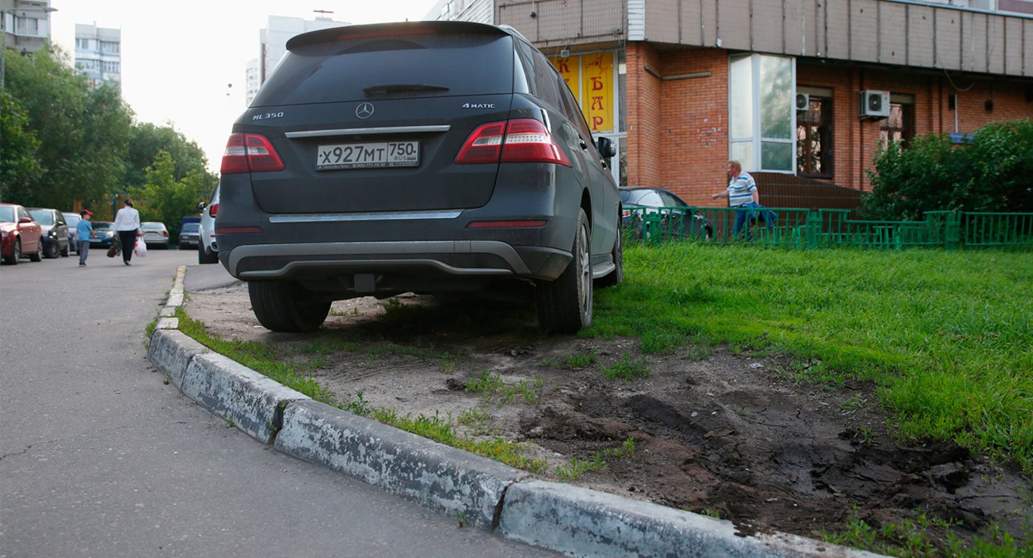 Водителей начали чаще штрафовать за парковку авто на газоне Автомобили