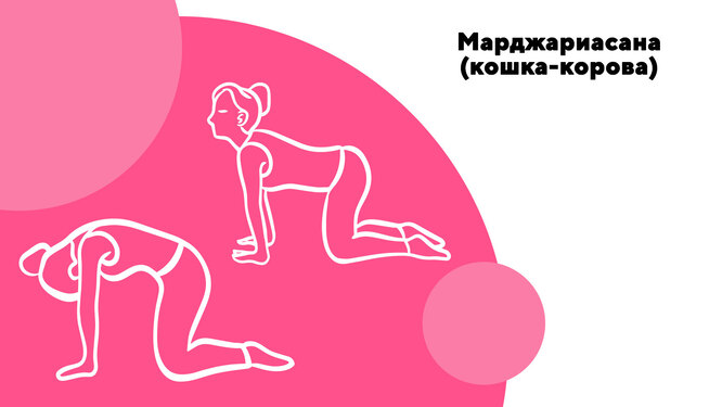 Никогда не поздно: 12 простых и эффективных упражнений из йоги для женщин 50+ вверх, поднимите, выполнять, 50Для, женщин, поверните, секунд, пальцы, спину, согните, ровно, мышцы, чтобы, Дышите, правую, поставьте, примерно, колено, вперёд, левую