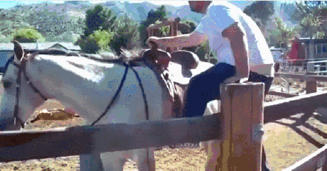 Забавные и смешные гифки из сети Забавные и смешные гифки из сети