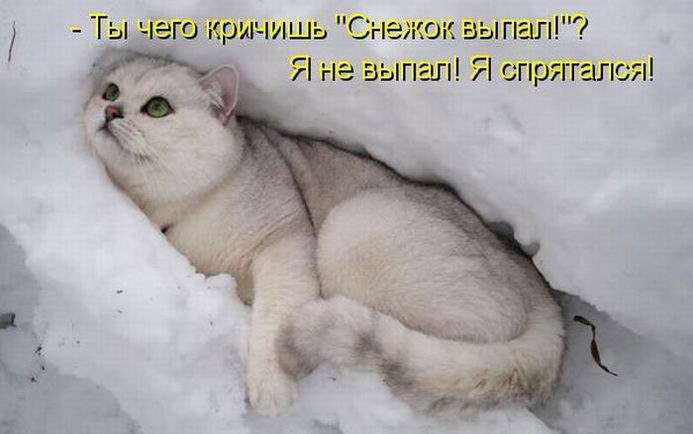 Мысли вслух :)