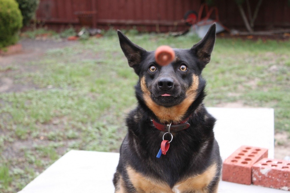 20 фотографий, сделанных за секунду до неизбежного 