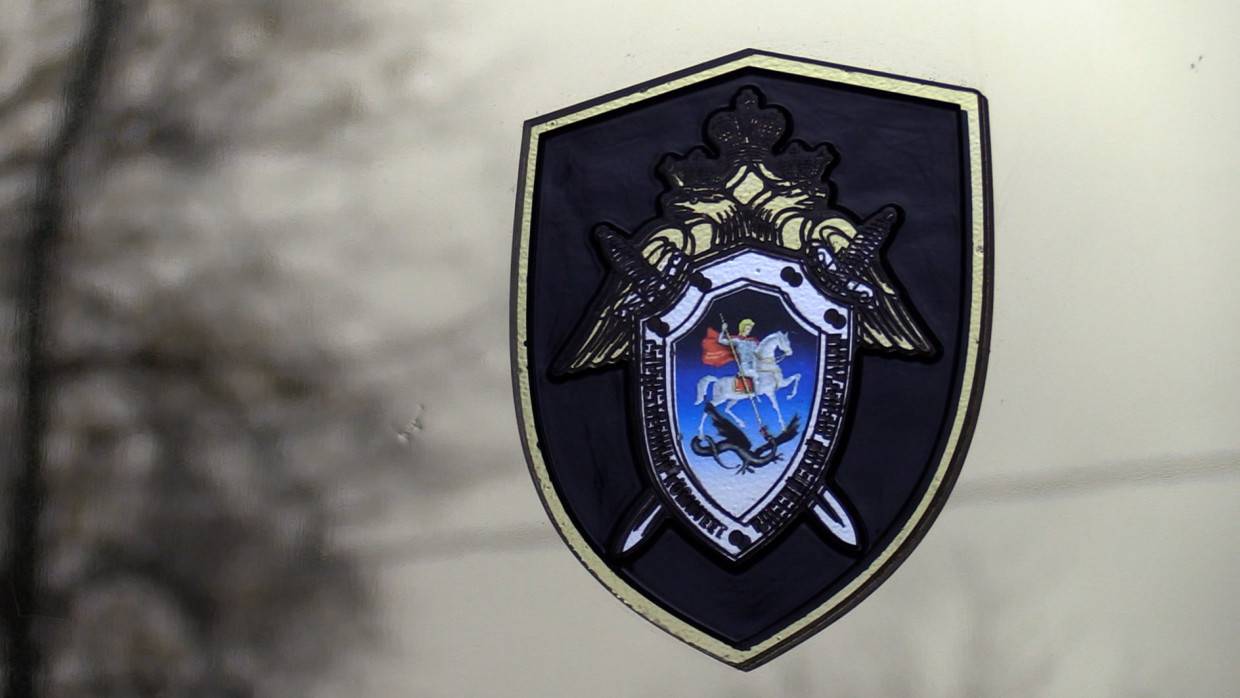 СКР начал проверку в отношении выгнавших ребенка голым на мороз родителей на Алтае