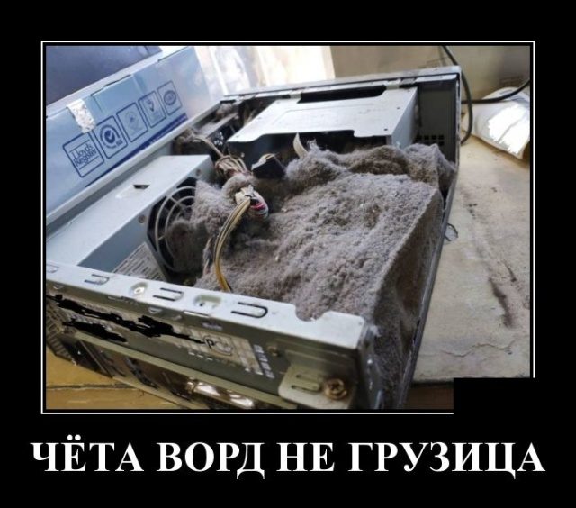 Прикольные картинки в черной рамке 