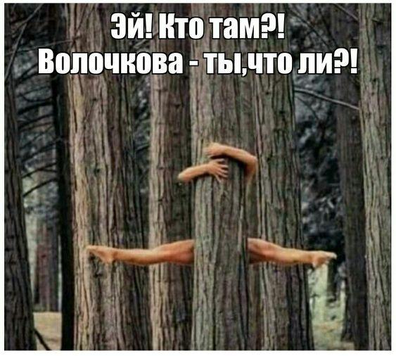 Юмористические картинки специально для вас Юмористические картинки специально для вас