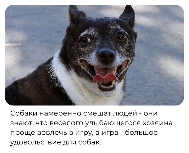 Приколы в начале недели 