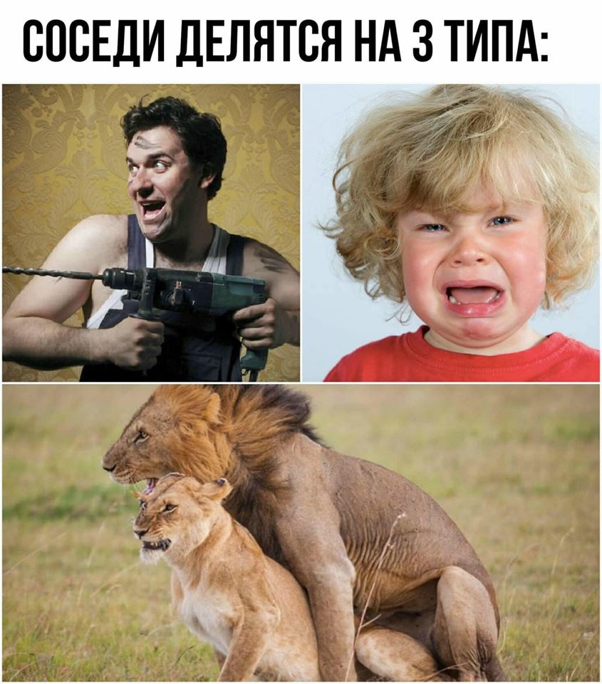 Смешные мемы с фото