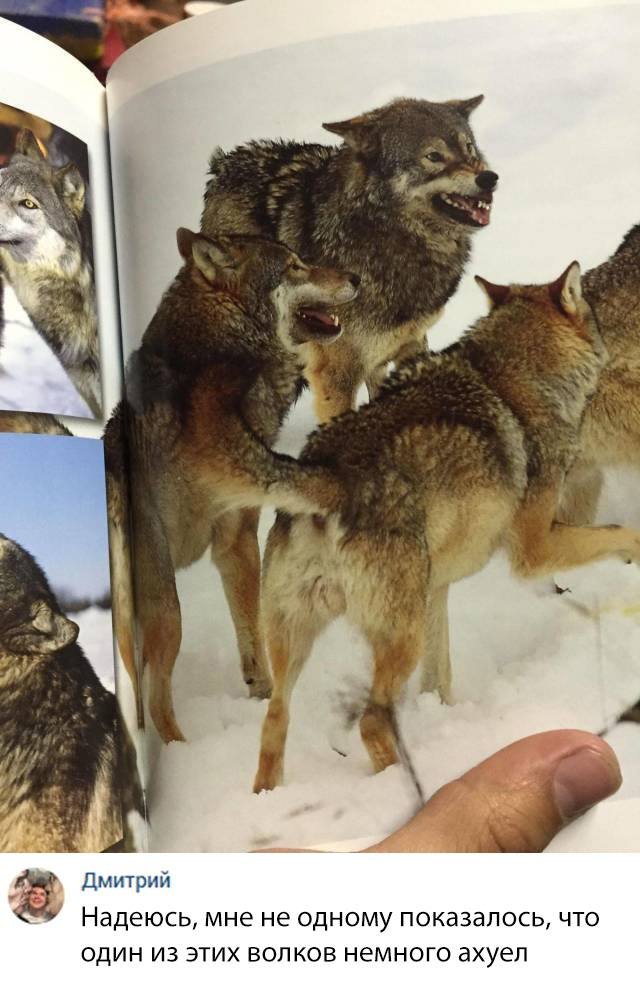 Скриншоты комментариев и смс 