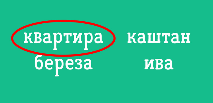 Тест из 12 анаграмм, который проверит ваше логическое мышление