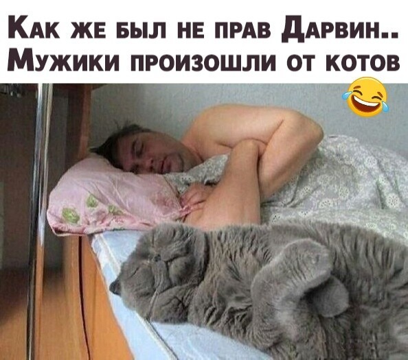 Дарвин и коты )