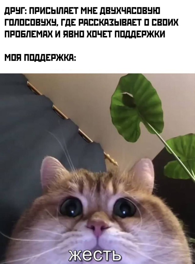 Подборка прикольных картинок  приколы,смешные картинки,юмор