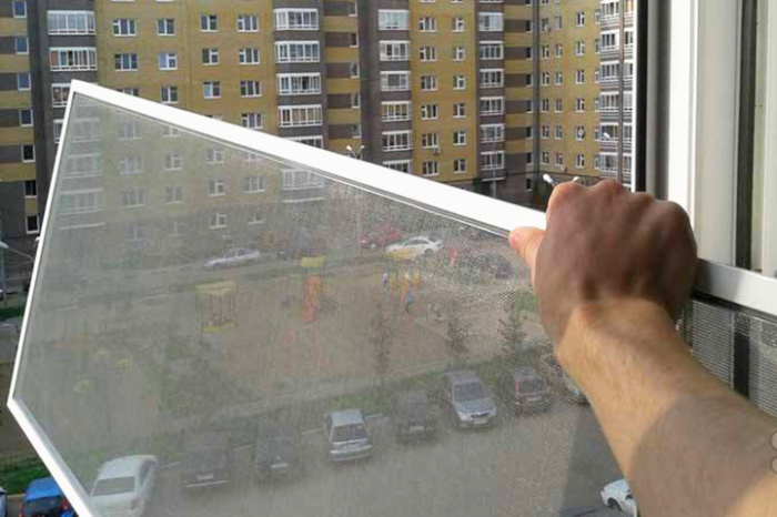 Нужно ли на зиму снимать москитные сетки с окон