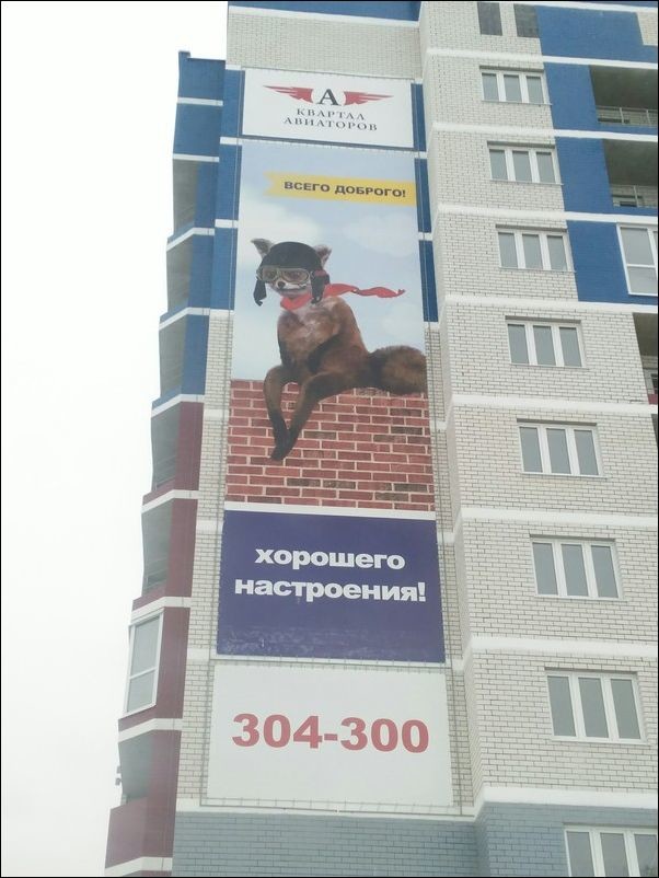 Прикольные надписи и объявления забавные надписи и объявления, прикол, прикольные вывески, юмор