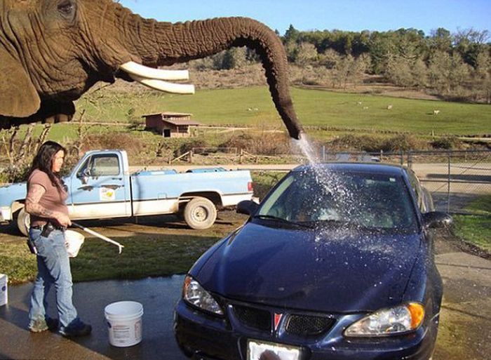 Автоюмор выходного дня авто и мото,автоновости