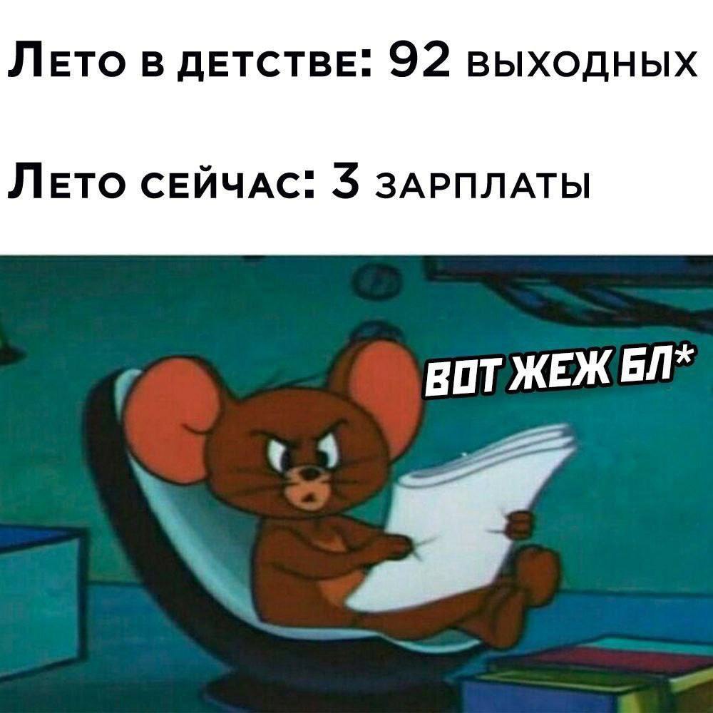 Юмор за день и интересы 