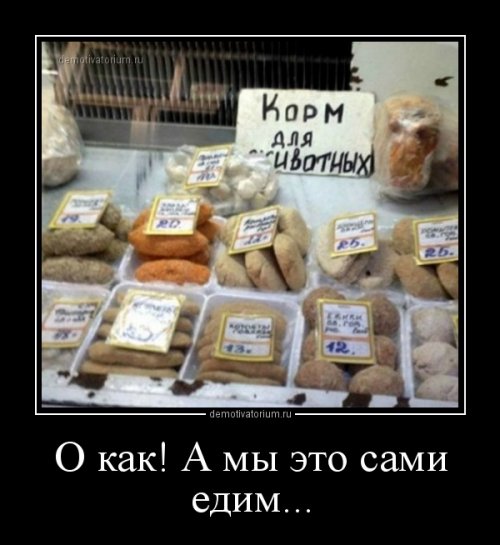 Очередная коллекция демотиваторов-приколов Очередная коллекция демотиваторов-приколов