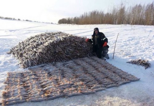 Веселые зимние забавы Дождались, пришлаВсе, надеемся, будет, снежной, очень, суровой, весело, проводят, снега, избытке, показывают, забавные, фото                                  