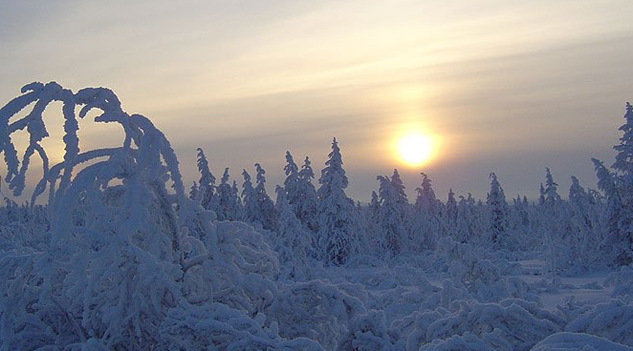 Самые неосвоенные места на Земле здесь, самых, животных, является, часть, территории, только, части, парка, растений, новые, региона, Здесь, почти, которых, Шондонг, видов, обнаружили, более, острова